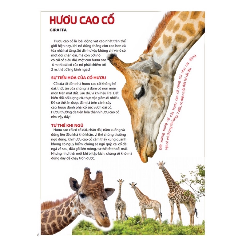 Ảnh Sách - Atlas Động Vật - Vương Quốc Động Vật 2