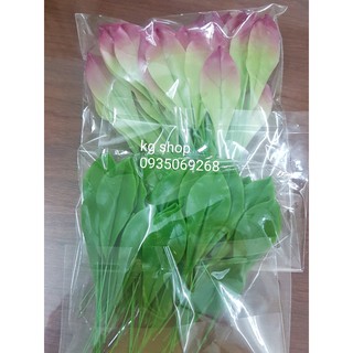 Combo lá nụ mai