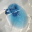 끝! Bộ cọ tẩy rửa bồn cầu,Toilet cleaner đầu cọ dùng 1 lần tiện lợi (Giá rẻ nhất ở Shopee!!!!!!!)