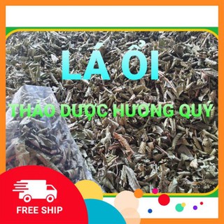 1KG LÁ ỔI KHÔ, SẠCH, LOẠI 1 HỖ TRỢ GIẢM CÂN, TIỂU ĐƯỜNG, NGĂN RỤNG TÓC HÀNG CHUẨN-FREE SHIP