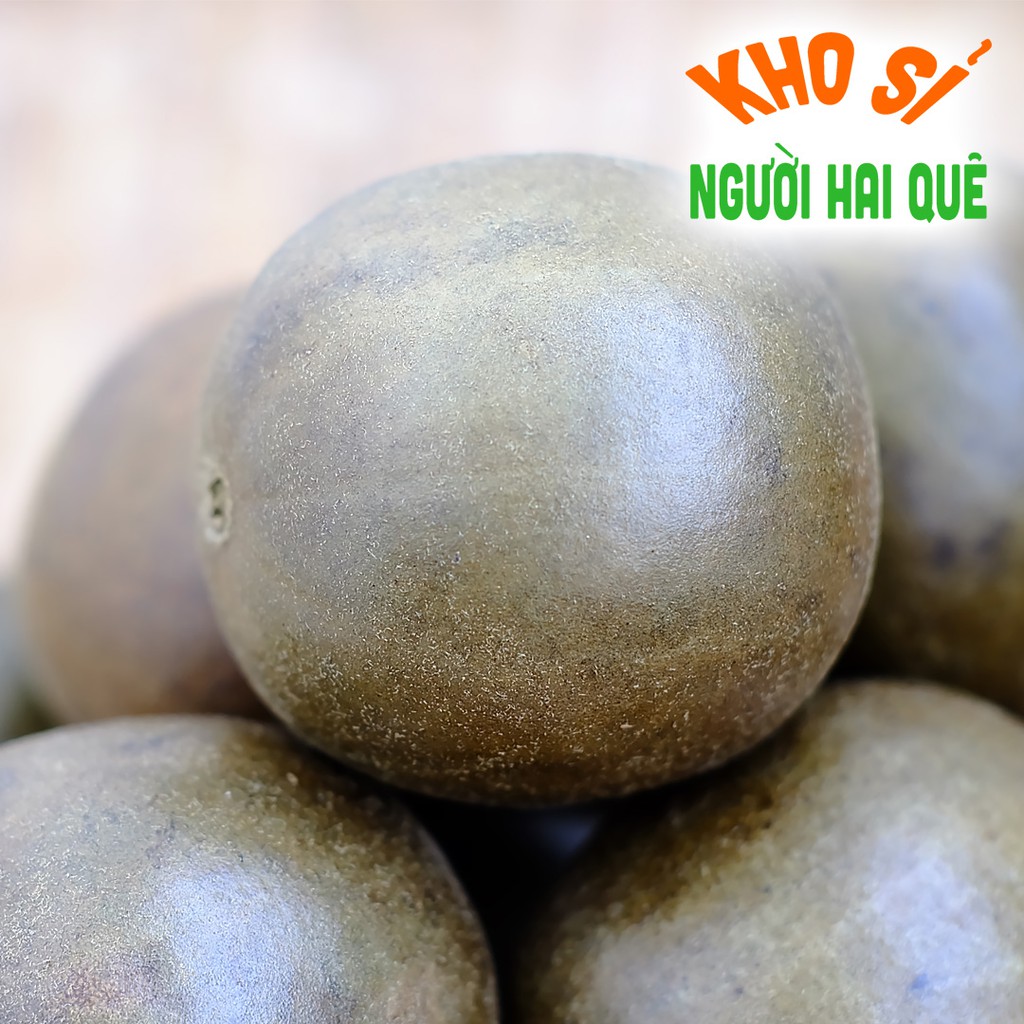 Combo 10 trái La hán quả trái GIÀ LỚN | Kho sỉ Người Hai Quê - Hai Quê Food
