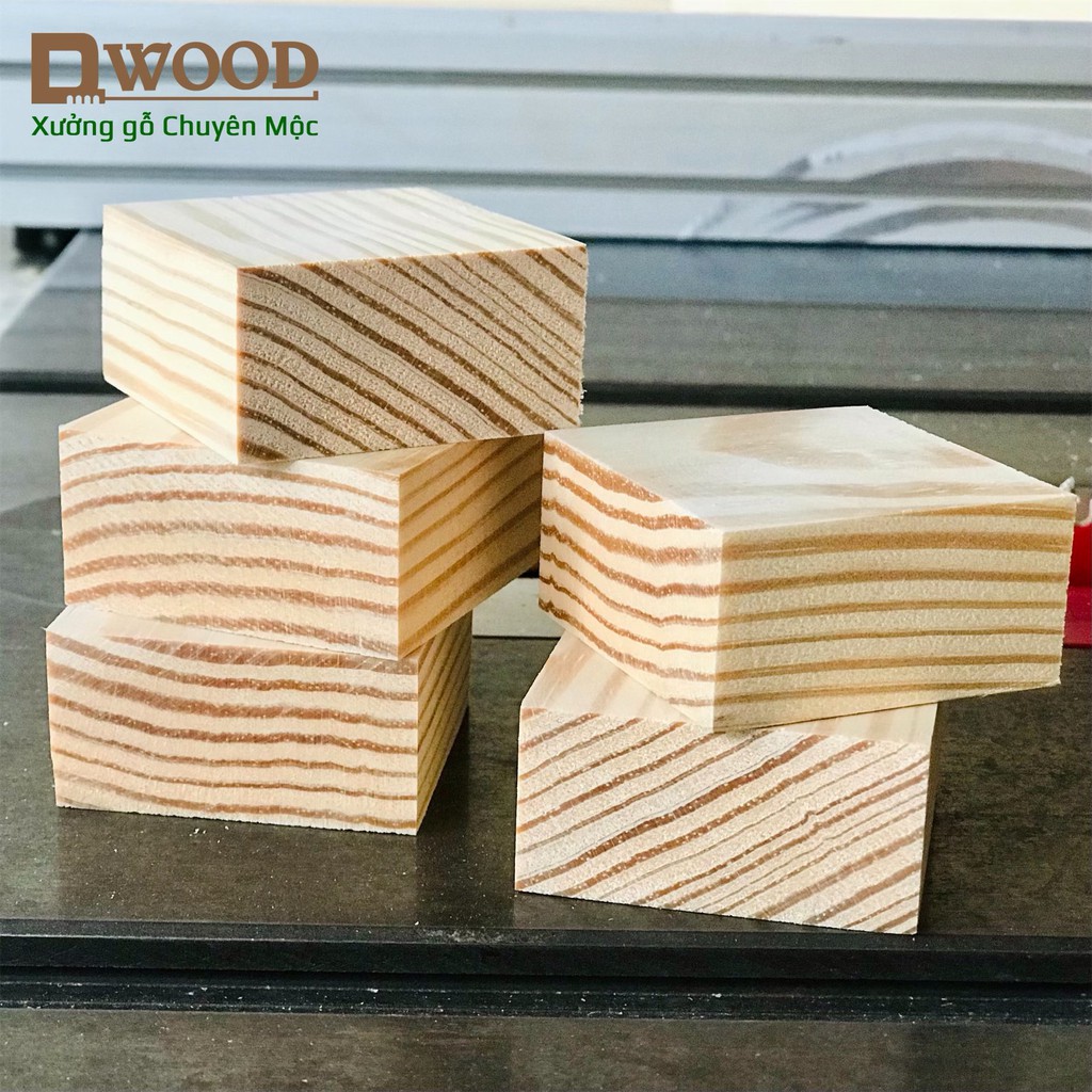 Ảnh Miếng gỗ thông Dwood vuông 5cm trang trí, kê chân tủ kệ 3