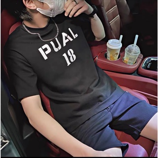 Áo thun Stee (Set) PUAL CVC - Giá sỉ Unisex