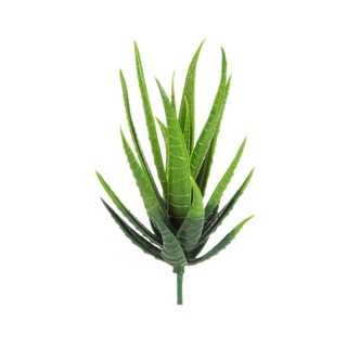 Cây Xương Rồng Giả Trang Trí Nhà Cửa