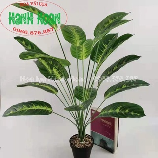 CÂY 18 LÁ CÁC LOẠI (MONSTERA, CHUỐI, LÁ MÔN,..) CAO 80CM- CÂY GIẢ DERCOR