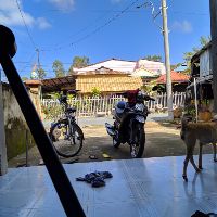 nguyenphat2k6