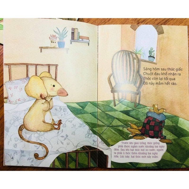 Ảnh Sách - Từ những hạt mầm (Bộ 5 cuốn) 4