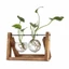 VVDZA Bình Thủy Tinh Trang Trí Terrarium Để Bàn Chậu Hoa