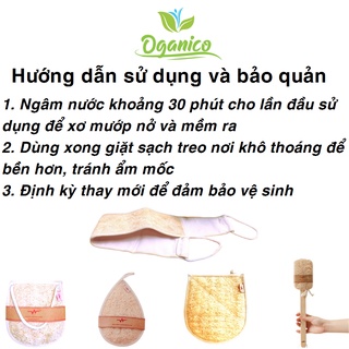 XƠ MƯỚP TẮM / ORGANIC LOOFAH / BÔNG TẮM XƠ MƯỚP TỰ NHIÊN SIZE NHỎ 8 cm * 13 cm
