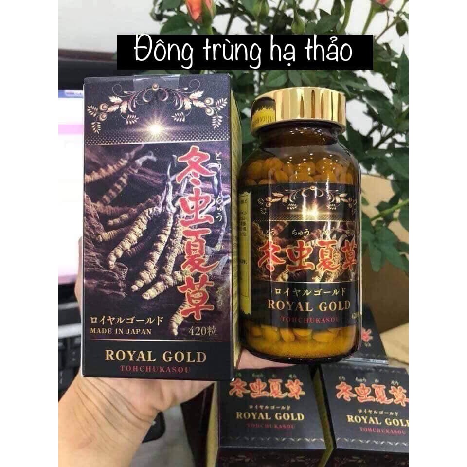 日本内容量冬虫夏草 ROYAL GOLD 420粒 - その他