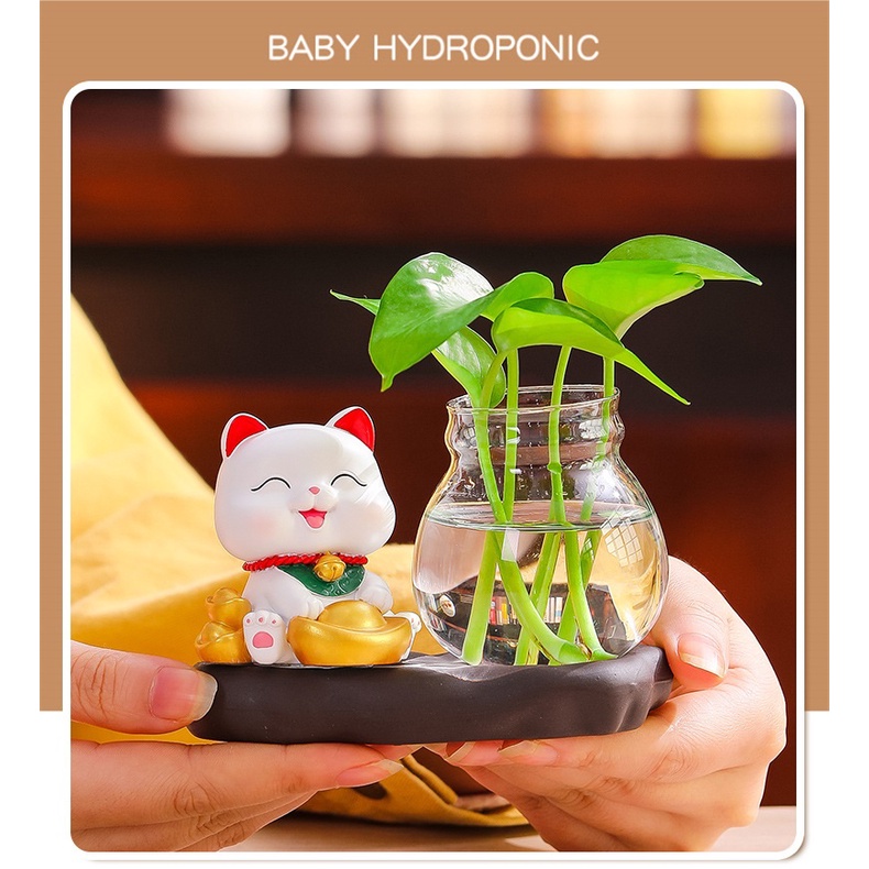 Bộ decor Mèo thần tài may mắn kết hợp cùng bình thủy sinh trang trí nhà, bàn làm việc góc học tập giúp mang lại may mắn