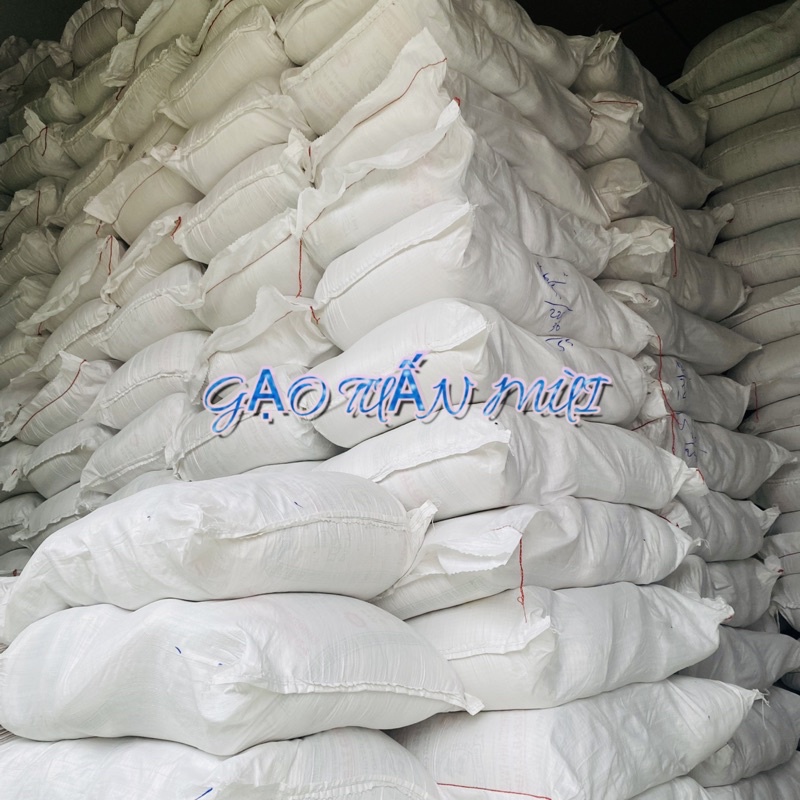 Gạo ST25 Gạo Thơm Thượng Hạng (Bao 10Ky)