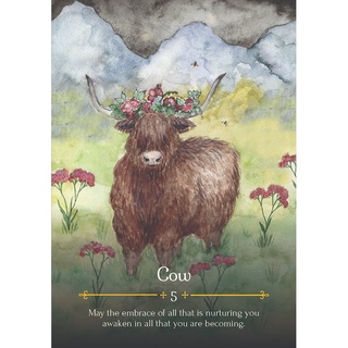 Bộ Bài Seasons of the Witch Beltane Oracle (Mystic House Tarot Shop) - Bài Gốc Authentic Chính Hãng 100%
