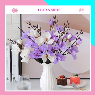 Hoa Giả- Hoa Diên Vĩ 43cm 5 Nhánh Decor Nhà Cửa, Studio Tinh Tế, Sang Trọng, Quý Phái