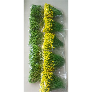 Nụ mai xanh đất sét không đài(100 nụ).Sản phẩm loại 1