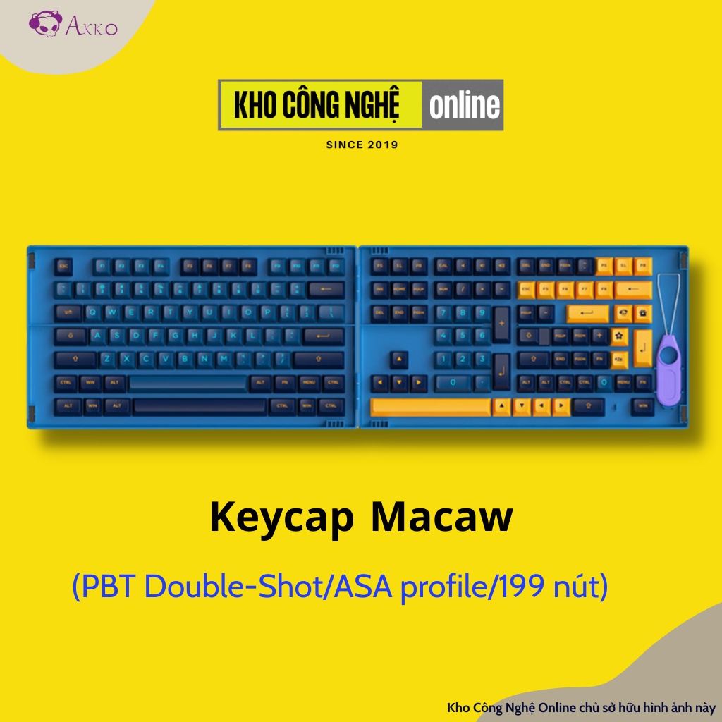 AKKO Keycap set – Macaw (PBT Double-Shot/ASA profile/199 nút) | Shopee ...