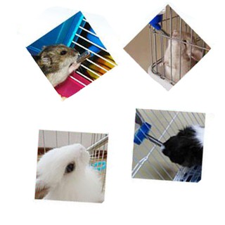 80 / 125 / 250 / 500ml Hamster Treo Đồ Uống Bình Nước Thú Cưng Sóc Thỏ Uống Nước Cốc 4 Màu