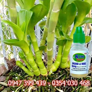 Keiki Super Xanh 15ml - Chế Phẩm Kích Mầm Gốc Dạng Phun, Đánh Thức Mắt Ngủ - Keiki Super srpay