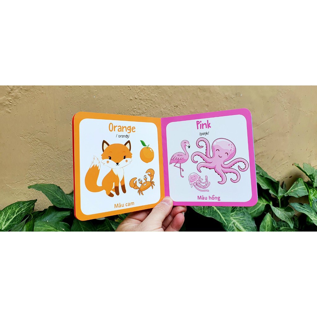 Ảnh Sách - Thư Viện Hình Ảnh Đầu Tiên Cho Bé Nhận Biết Thế Giới Xung Quanh (10 Cuốn) 2