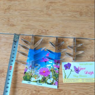 KHUÔN CẮT BỘ SAO NHÁI LÁ KIM( 3 SIZE LÁ)