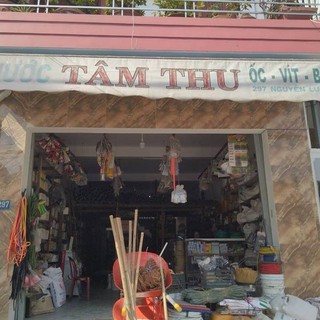 dinhhuythong297