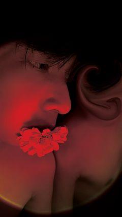 xojsphantuan537