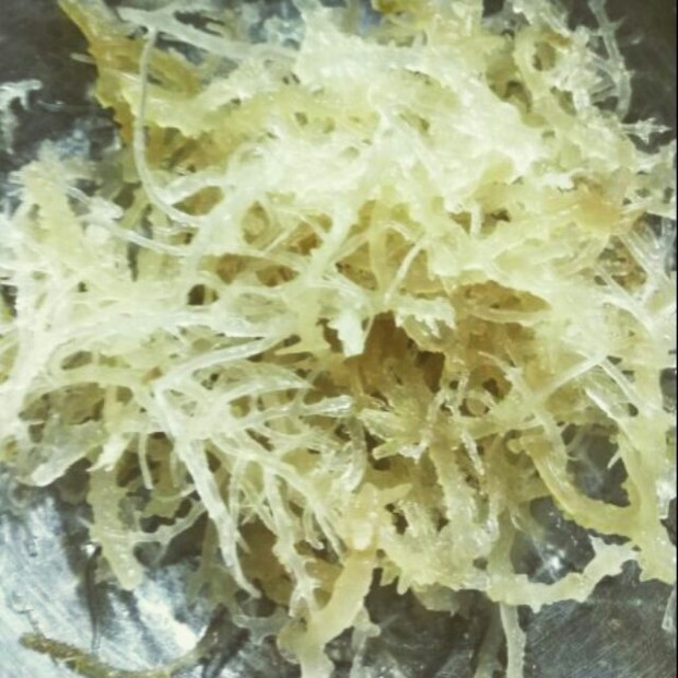 E23 QPV rong sụn sử dụng nấu chè, làm gỏi, nấu thạch rau câu -100g/500g ...