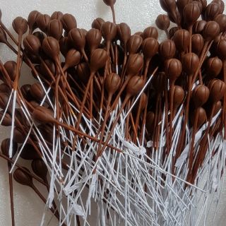 Nụ đào nâu(100sp). Sản phẩm loại 1