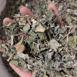 chè dây cao bằng khô