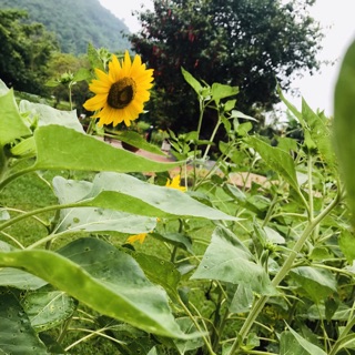 06_ngoc