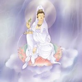 thuytrangmai