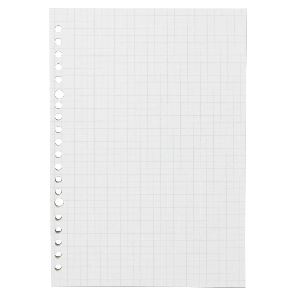 Ảnh Giấy Đục Lỗ Các Loại A4/A5/B5 MUJI 1