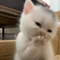minhnhin1111