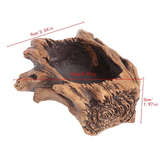 Chậu trồng cây mọng nước bonsai bằng xi măng giả gỗ trang trí đẹp mắt