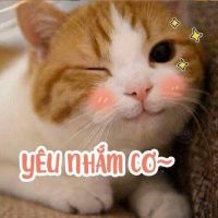 thanhan090203