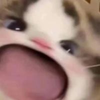 dieulynh_04
