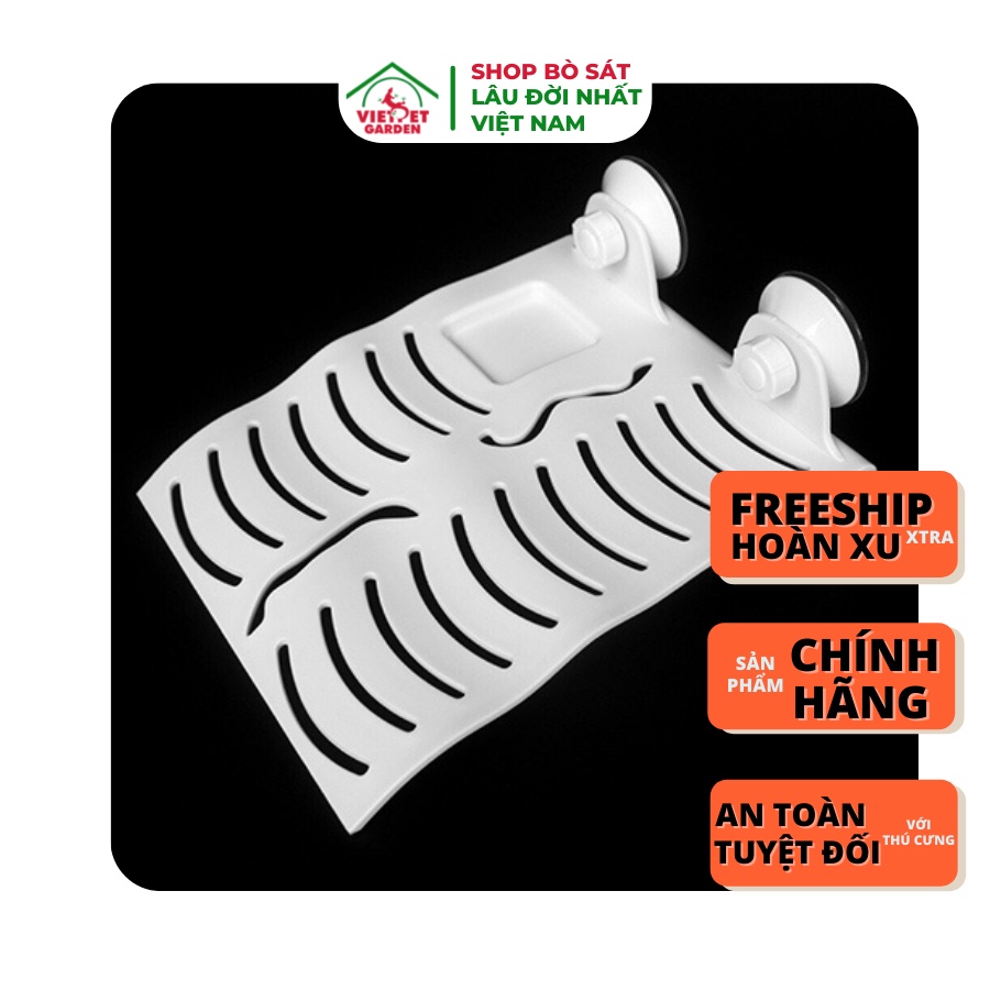 Máng leo cho rùa nước - Tiện dụng công năng cao - Vietpetgarden