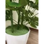 Cây trầu bà lá xẻ cao 1m5 - 72 lá - cây giả trang trí decor nhà
