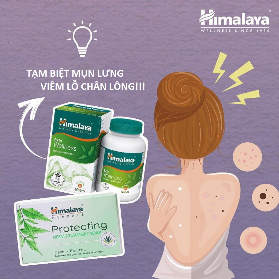 Ảnh [MUA 8 TẶNG 2] Xà phòng giảm mụn cơ thể từ lá neem Himalaya Neem Turmeric Soap 75g/ hộp 1
