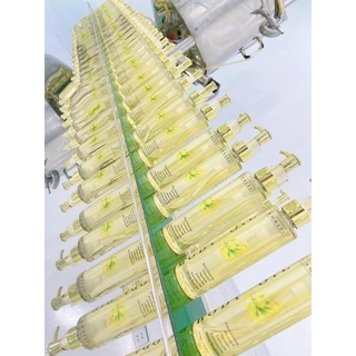 BODY OIL (LOẠI 2)