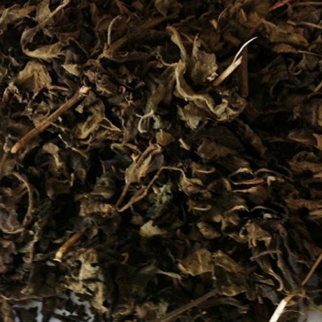 Cây hoắc hương khô thượng hạng JINDO 1kg tác dụng kiện tỳ vị, hỗ trợ khó tiêu, đầy hơi