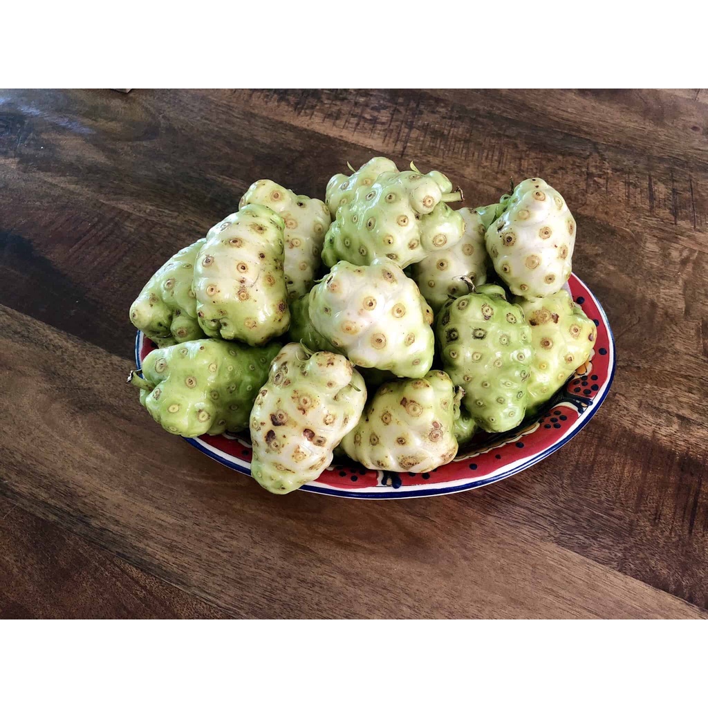 Trái nhàu sấy khô JINDO 1kg