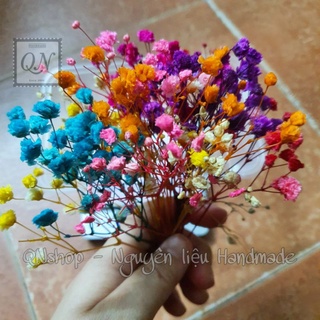 Hoa baby khô nhiều màu trang trí resin, decor...