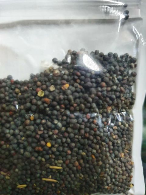 HẠT GIỐNG THỦY SINH SỐ 6 CỎ TRÁI TIM 10G