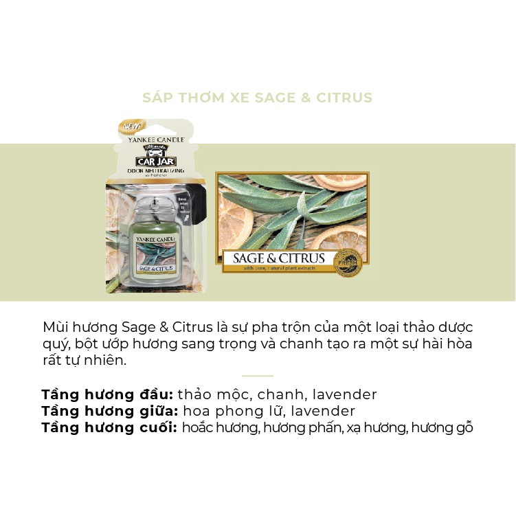 Ảnh Sáp thơm xe Yankee Candle - Sage & Citrus 1