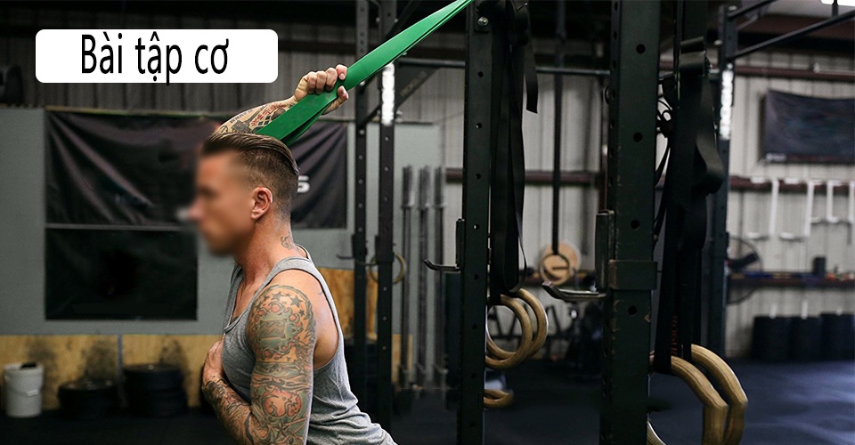 Mô tả Dây Kháng Lực Cleacco – Boro Sport | Mẫu Mới 2025 | Tập Gym Toàn Thân – 5 Mức Tải – Cao Su Bền Dẻo – Bảo Hành 12 Tháng - 4