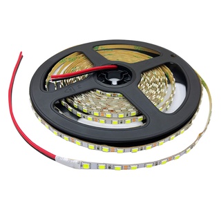 Cuộn Dây Đèn LED 2835 12V 4mm Siêu Mỏng 120 Bóng 5m Ánh Sáng Trắng / Xanh Ấm / Vàng Siêu Mỏng
