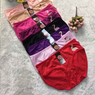 Quần lót nữ cotton thông hơi ôm mông set 10 chiếc cho chị em