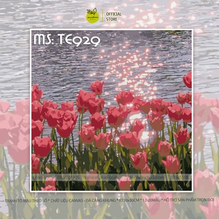[30x30cm] Tranh số hóa - Tranh tô màu theo số CÓ KHUNG chủ đề Những đóa hoa / Bầu trời / Quà tặng độc đáo tự tay làm lấy