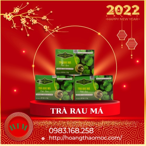 Trà Rau Má Hoàng Thảo Mộc Thanh Lọc Cơ Thể Giải Nhiệt